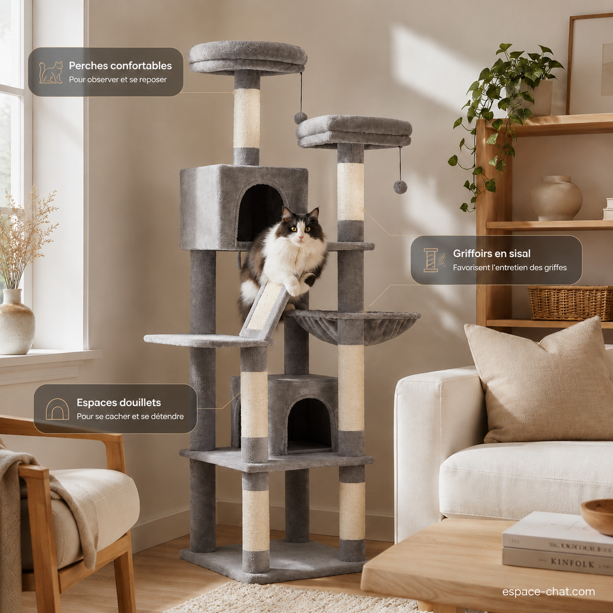 Arbre à Chat Simple - Borée