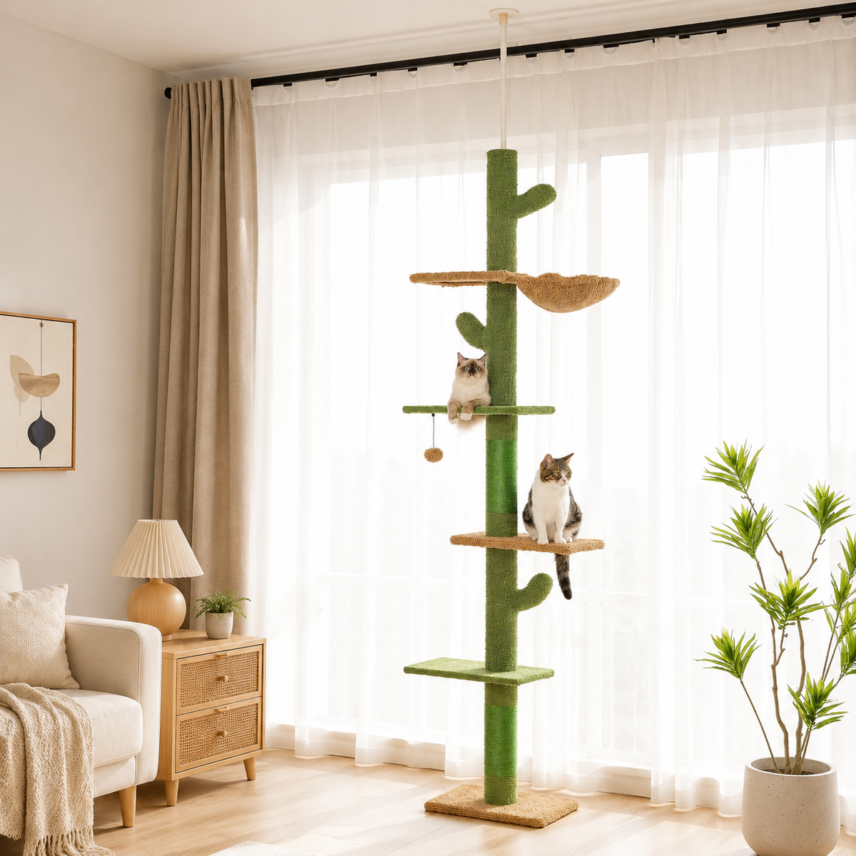 Arbre à Chat Cactus - Déméter