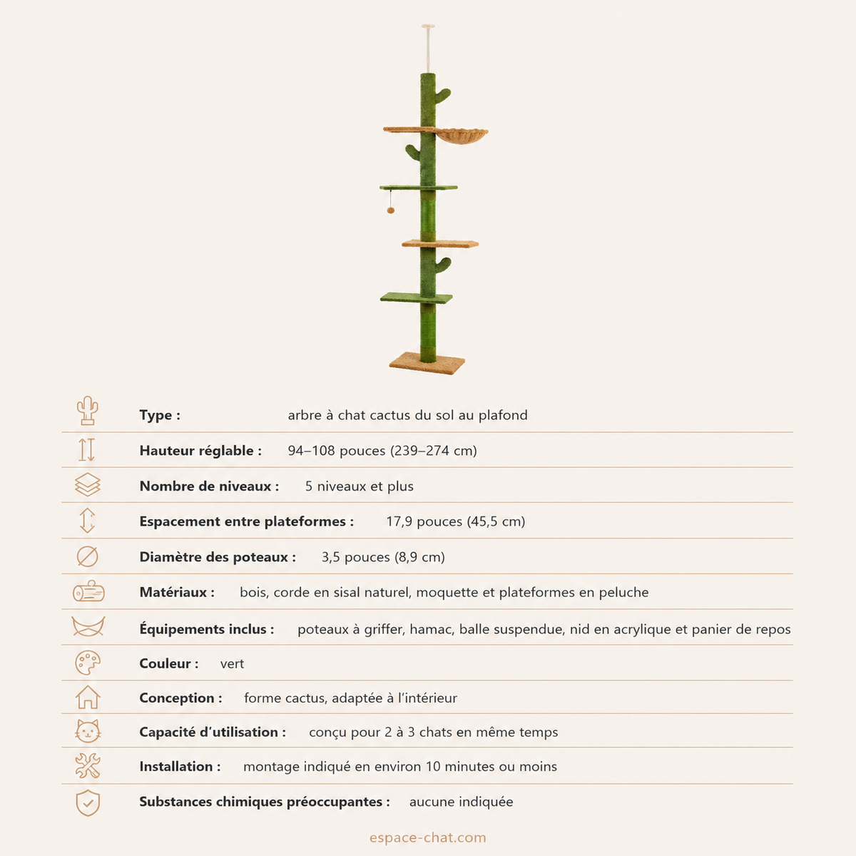 Arbre à Chat Cactus - Déméter