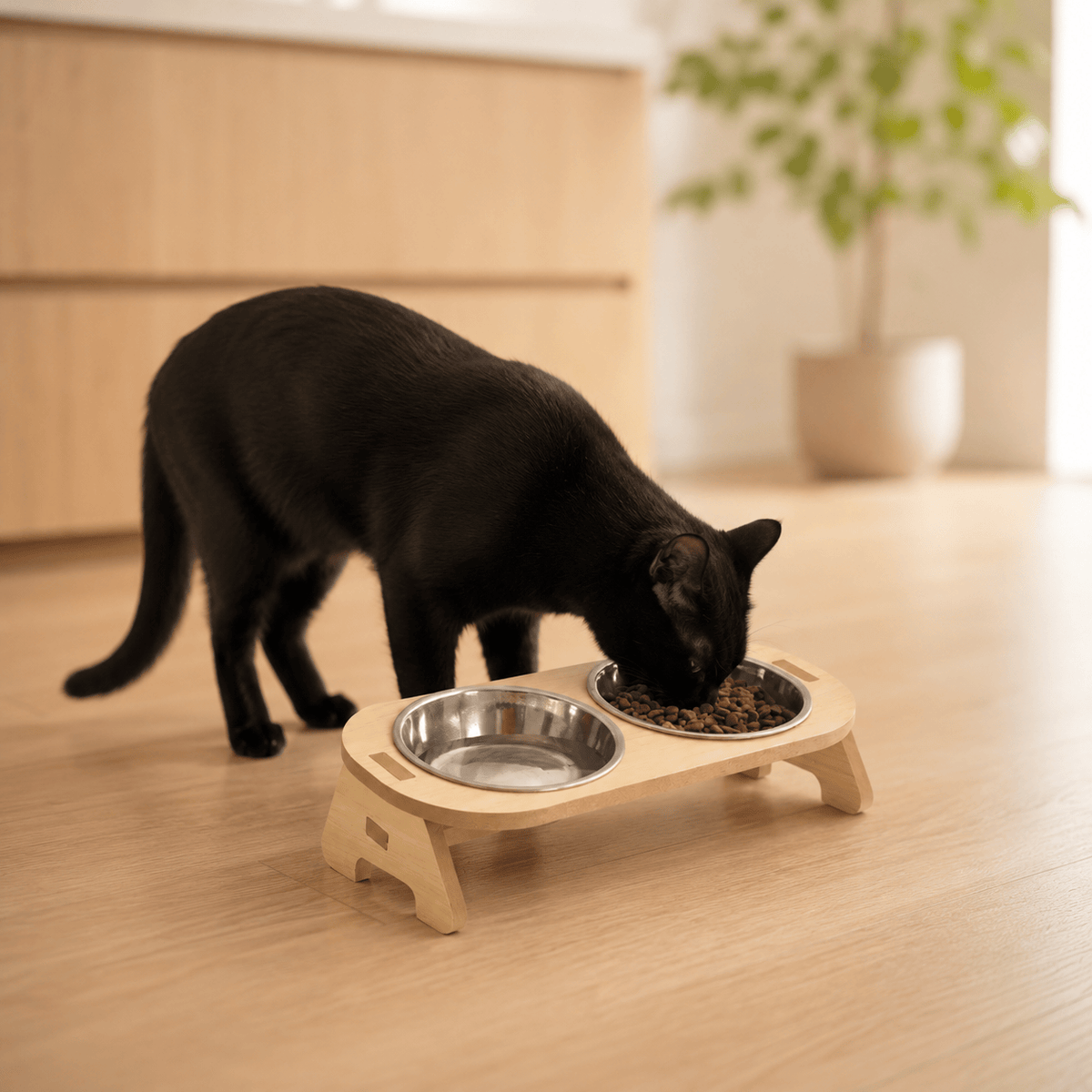 Double Bols Pour Chat - Dioscures