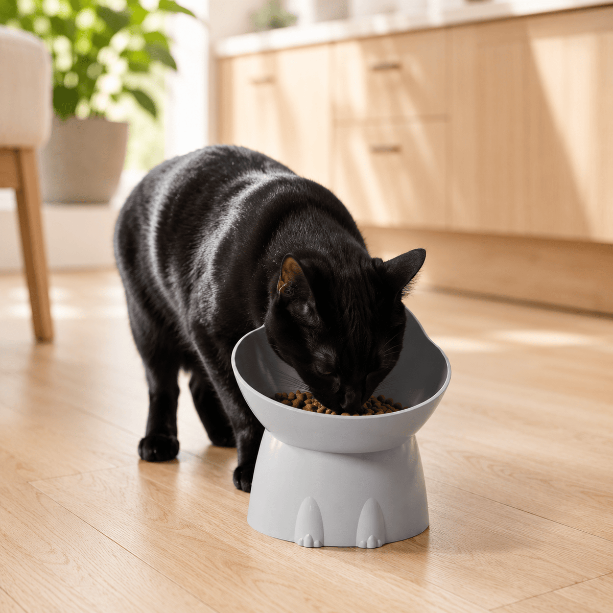 Gamelle Chat Surélevée - Xénon