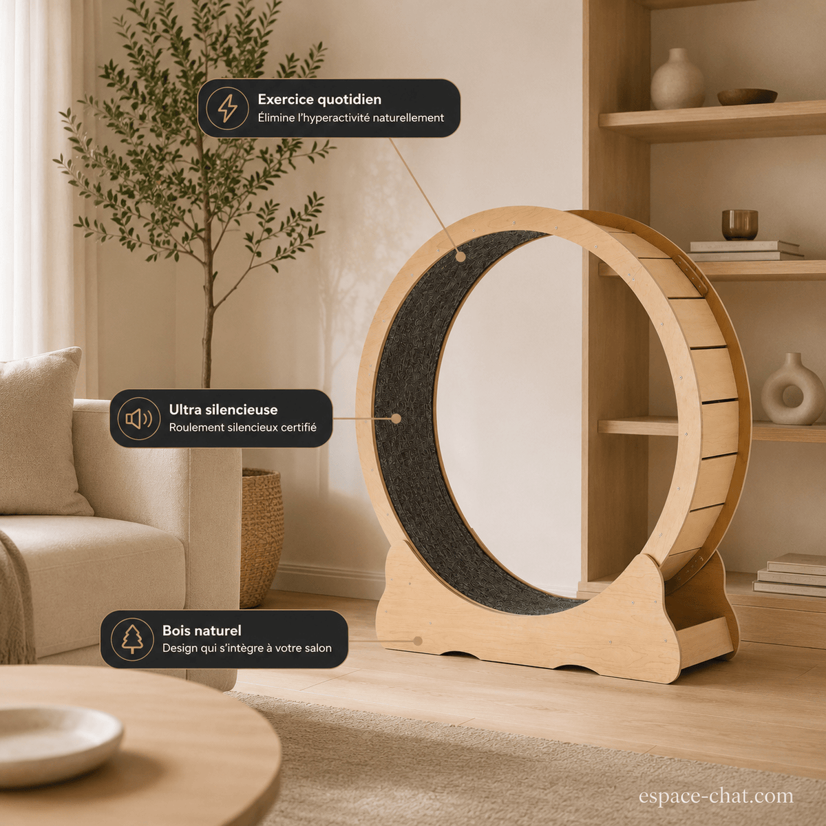 Roue De Course Pour Chat - Chronos