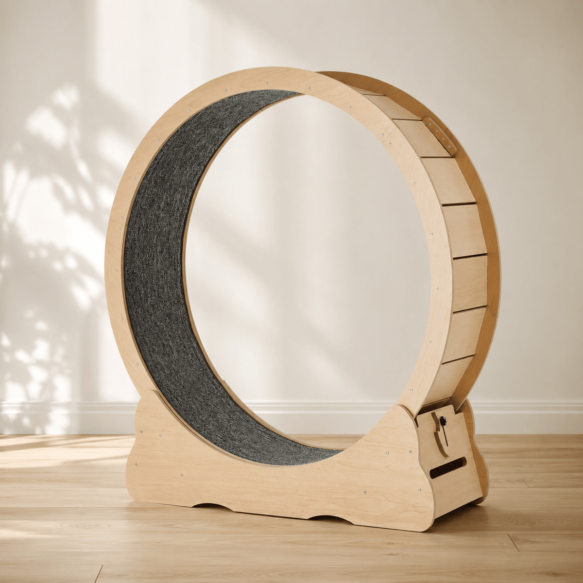 Roue De Course Pour Chat - Chronos